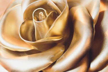 Şaşırtıcı altın gül izole. Golden Rose Papa Katolik Kilisesi'nin geleneksel olarak her yıl kutsadı altın bir süs olduğunu.