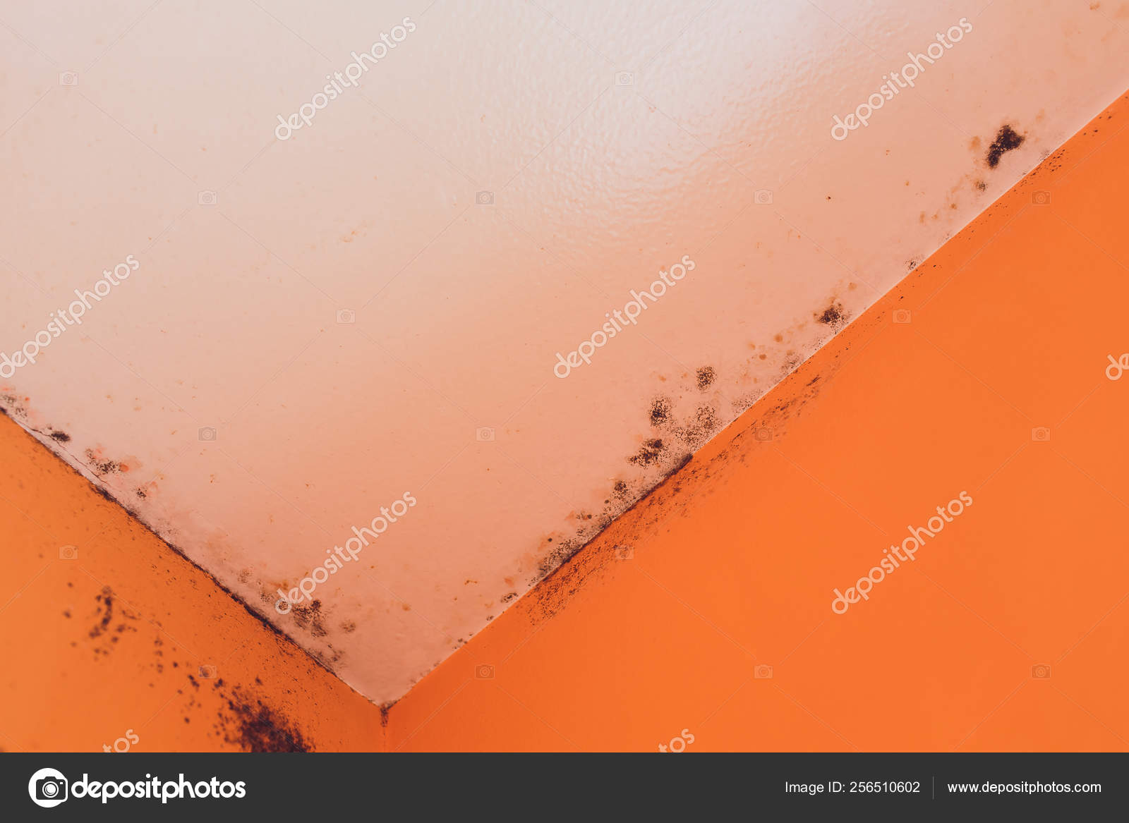 Peeling Paint Wall Of Water Leak In Plaster Ceiling Of