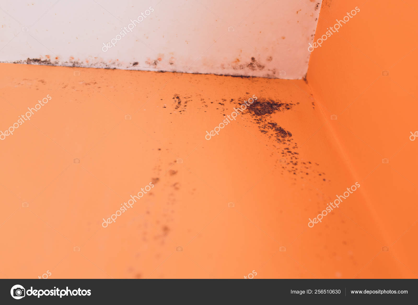 Peeling Paint Wall Of Water Leak In Plaster Ceiling Of Bathroom