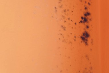 Peeling boya duvar alçı tavan banyo su sızıntısı.