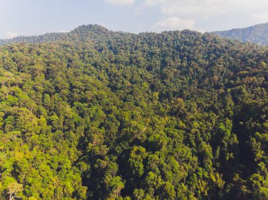 Güneş dağ vadisinde Tayland kuzey kesiminde güzel manzarası alan seçici odak ve beyaz dengesi uygulanan değişen sis üzerinde güzel bir renk vererek yükselen.