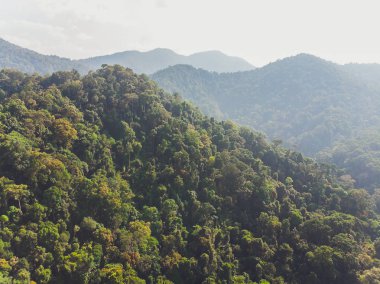 Güneş dağ vadisinde Tayland kuzey kesiminde güzel manzarası alan seçici odak ve beyaz dengesi uygulanan değişen sis üzerinde güzel bir renk vererek yükselen.
