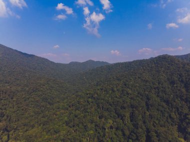 Güneş dağ vadisinde Tayland kuzey kesiminde güzel manzarası alan seçici odak ve beyaz dengesi uygulanan değişen sis üzerinde güzel bir renk vererek yükselen.