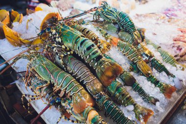 Restoranda buzlu taze ıstakozlar satılıyor. Koyu ıstakoza odaklan..