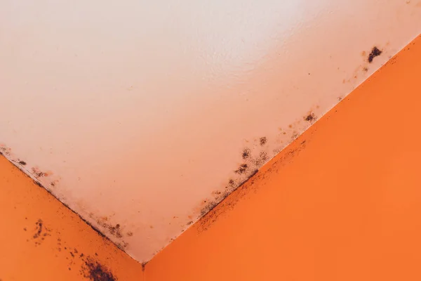 Peeling paint wall of water leak in plaster ceiling of bathroom.