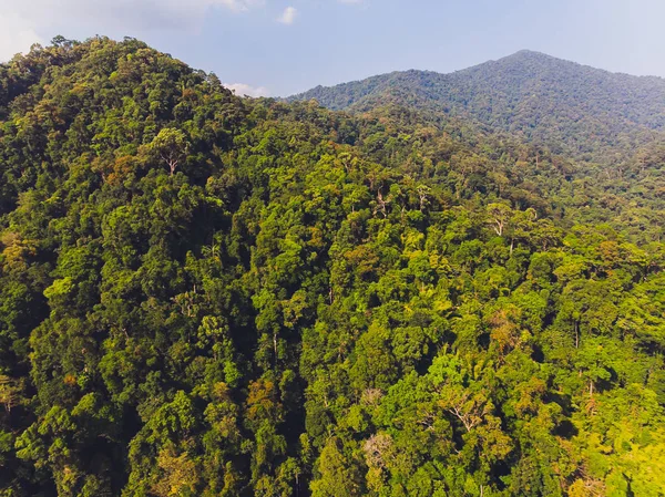 beautiful scenary in the north part of Thailand over the valley of mountain at sun rising giving a beautiful color on the mist in the field selective focus and white balance shifting applied.