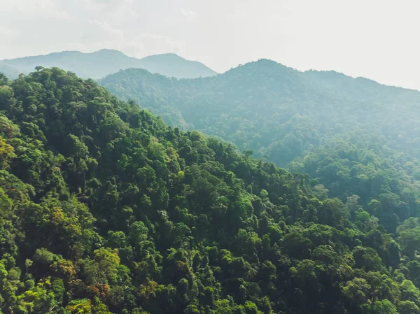 beautiful scenary in the north part of Thailand over the valley of mountain at sun rising giving a beautiful color on the mist in the field selective focus and white balance shifting applied.