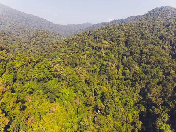 Vacker Scary i norra delen av Thailand över dalen av berget vid Sol uppgång ger en vacker färg på dimman i fältet selektiv fokus och vit balans växling tillämpas. — Stockfoto