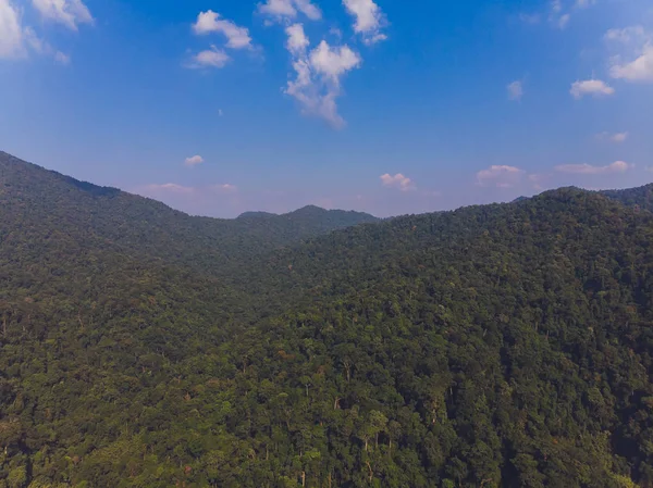 Vacker Scary i norra delen av Thailand över dalen av berget vid Sol uppgång ger en vacker färg på dimman i fältet selektiv fokus och vit balans växling tillämpas. — Stockfoto