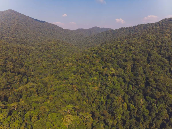 Vacker Scary i norra delen av Thailand över dalen av berget vid Sol uppgång ger en vacker färg på dimman i fältet selektiv fokus och vit balans växling tillämpas. — Stockfoto