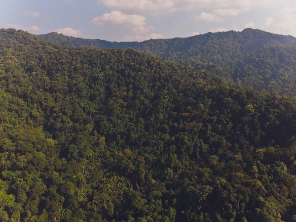 Vacker Scary i norra delen av Thailand över dalen av berget vid Sol uppgång ger en vacker färg på dimman i fältet selektiv fokus och vit balans växling tillämpas. — Stockfoto