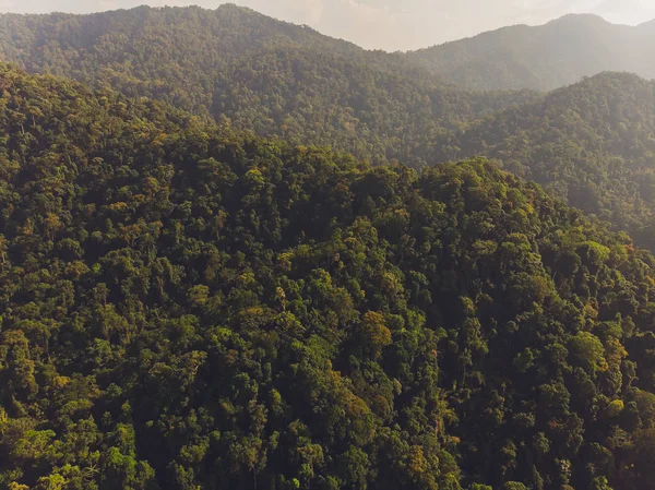 Vacker Scary i norra delen av Thailand över dalen av berget vid Sol uppgång ger en vacker färg på dimman i fältet selektiv fokus och vit balans växling tillämpas. — Stockfoto