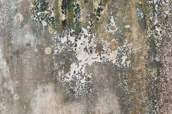 Wall with green mold and dirt on the surface.