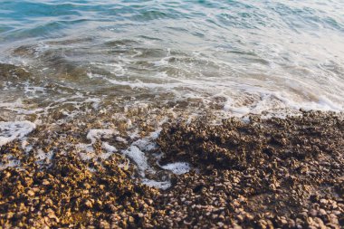 Tayland deniz sahilde yengeç evi.