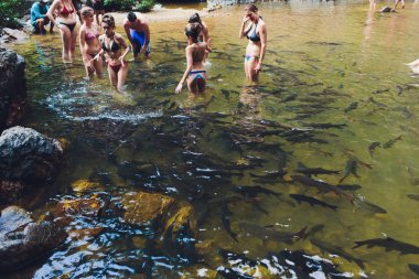 Phang-Ng, Tayland, 2 Mart 2019: Tam Nang Şelalesi, Sri Phang-Nga Ulusal Parkı, Takuapa Bölgesi, Phang-Nga, Tayland.