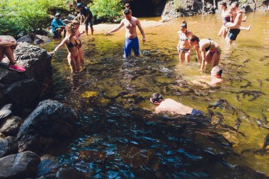 Phang-Ng, Tayland, 2 Mart 2019: Tam Nang Şelalesi, Sri Phang-Nga Ulusal Parkı, Takuapa Bölgesi, Phang-Nga, Tayland.