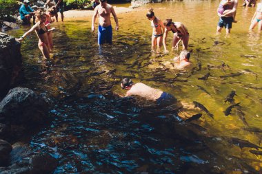 Phang-Ng, Tayland, 2 Mart 2019: Tam Nang Şelalesi, Sri Phang-Nga Ulusal Parkı, Takuapa Bölgesi, Phang-Nga, Tayland.