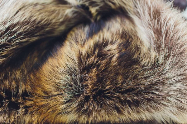 Profesyonel terzi, kürk manto, atelier, tamir Tasarımcısı stüdyo. Moda ve terzilik kavramı.