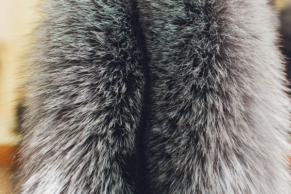 Ulusal Başkir kostümleri. Rusya halkı. Tatarları.