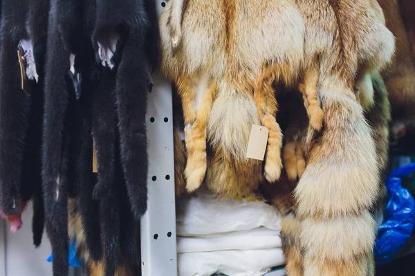 Piel animal. zorros, mapache, lobo, castor, visón, nutria colgando después del procesamiento . —  Fotos de Stock