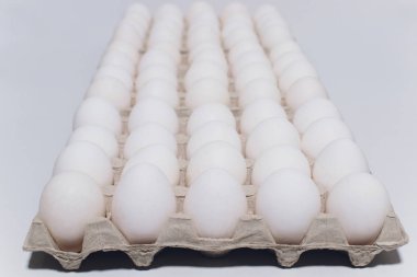 Zararsız bir tavuğun beyaz yumurtaları, beyaz bir arka planda karton paketler..