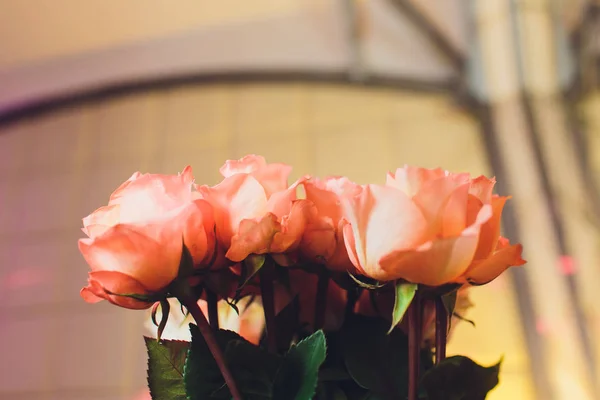 Rosas rosadas en un ambiente romántico restaurante . —  Fotos de Stock