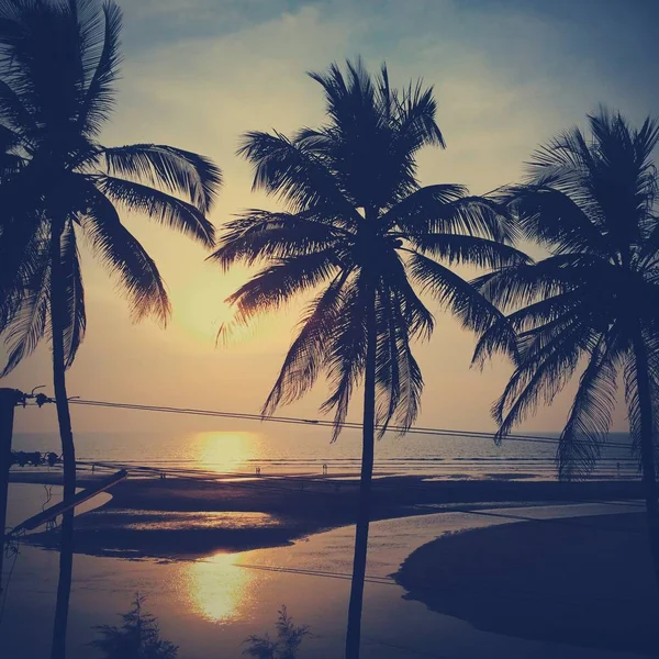 Bellissimo tramonto sulla spiaggia tropicale con palme. Paesaggio oceano in stile vintage. India . — Foto Stock