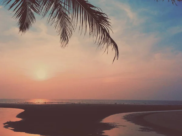 Όμορφο ηλιοβασίλεμα στο τροπική παραλία με τους φοίνικες. τοπίο Ωκεανού σε στυλ vintage. Ινδία. — Φωτογραφία Αρχείου