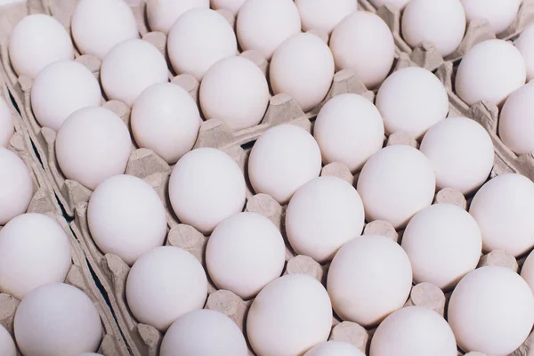 Ovos brancos de uma galinha em embalagem inofensiva, de papelão em um fundo branco. — Fotografia de Stock