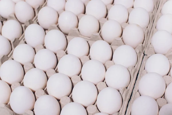 Ovos brancos de uma galinha em embalagem inofensiva, de papelão em um fundo branco. — Fotografia de Stock