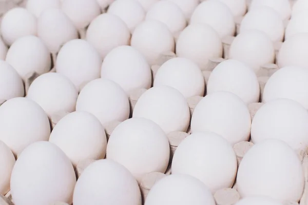 Ovos brancos de uma galinha em embalagem inofensiva, de papelão em um fundo branco. — Fotografia de Stock