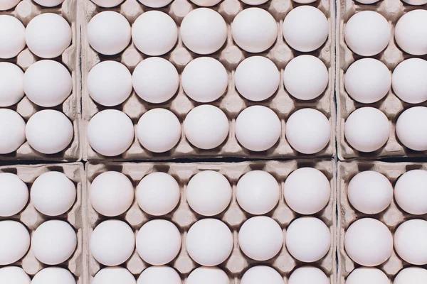 Ovos brancos de uma galinha em embalagem inofensiva, de papelão em um fundo branco. — Fotografia de Stock