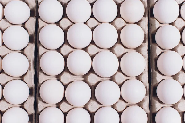 Ovos brancos de uma galinha em embalagem inofensiva, de papelão em um fundo branco. — Fotografia de Stock