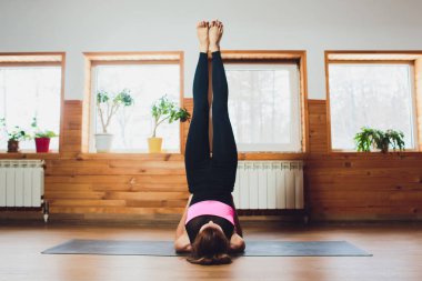 Omuz stand poz, çalışma dışarı Sirasana Sarvangasana egzersiz, pratik yoga, Genç sportif çekici kadının yapması desteklenen, giyiyor spor giyim, pantolon ve üst, kapalı beyaz yoga stüdyosu, yakın.