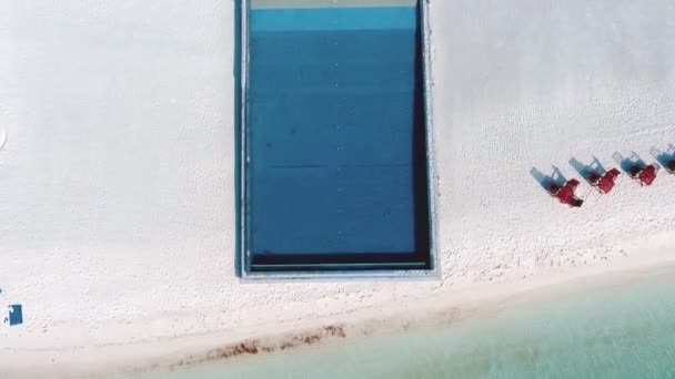 Большой бесконечный бассейн на берегу Индийского океана с шезлонгами и зонтиками в тени пальм . — стоковое видео