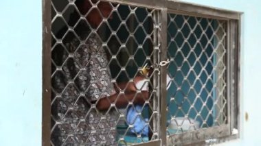 Maldivler, Maldivler - 12 05 2018: bulaşık yıkama. köpük erkek eller evin mutfağında bir deterjan ve sünger ile kızartma tavası yıkar.