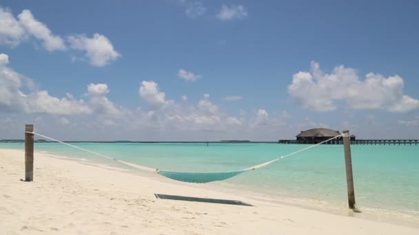 Hamaca vacía entre palmeras en la playa de arena. — Vídeos de Stock