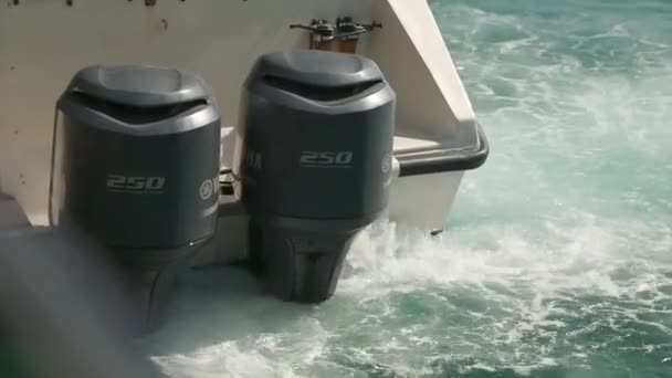 Maldiverne, Maldiverne - 12 05 2018: Little. hvidt. glasfiber motor yacht med poleret. gelændere i rustfrit stål. bundet til en trædok i Maldiverne . – Stock-video