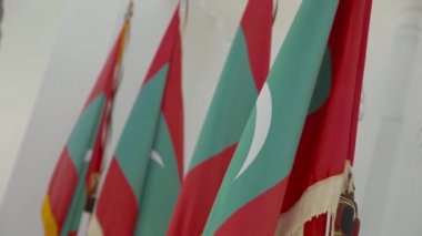 Bayrak sonrası sallayarak Maldivler Bayrağı.