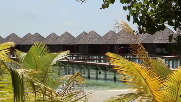 Bela praia com bungalows de água em Maldivas. — Vídeo de Stock