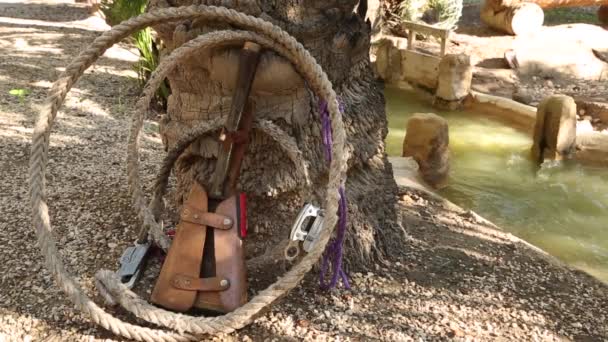 Conjunto de vestuario para escalada deportiva al aire libre. derribar cocos machete de palmeras — Vídeo de stock