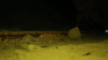 Tuz Madeni'nde tuz blokları ile yüklü mayın taşıma.