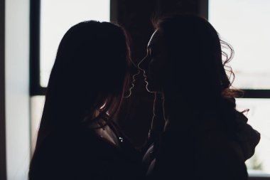 Lgbt lezbiyen kadınlar çift anları mutluluk. Lezbiyen kadınlar birlikte açık havada kavramı çift. Lezbiyen çift birlikte ilişki aşık aşık kucakladı.