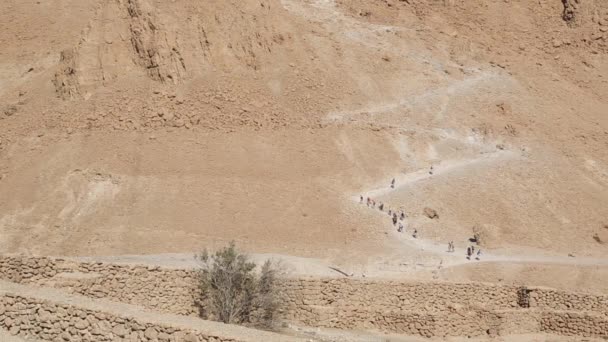 Masada. La antigua fortificación en el Distrito Sur de Israel. Parque Nacional Masada en la región del Mar Muerto de Israel. La fortaleza de Masada . — Vídeo de stock