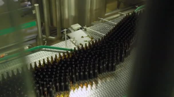 Embalaje de botellas de vino oscuro en el taller de la fábrica de vidrio. Producción de botellas de vino de vidrio. Las botellas de vino se mueven a lo largo del transportador en la tienda de embalaje. Embalaje de productos. Tiro de seguimiento . — Vídeo de stock