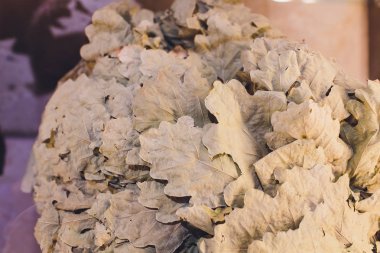 Geleneksel Rus saunası banyo aksesuarları. Banyo süpürgeler meşe Ahşap sauna kova Rus banyoda dan kapatalım. Banya için meşe venik.