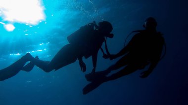 dalgıçlar sualtı mağaraları dalış Ginnie Springs deniz.