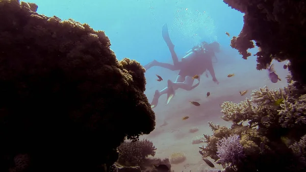divers underwater caves diving Ginnie Springs sea.