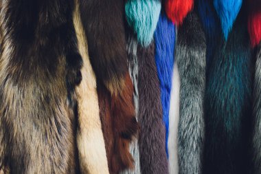 Kahverengi kürk makro görünümü. Kapat şunu. Gümüş tilki. Renkli.