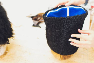 Kazak kapaklar üstünde belgili tanımlık sayaç. Geleneksel Kazak elbise.